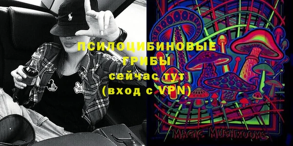 дживик Горнозаводск