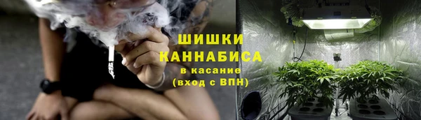 дживик Горнозаводск