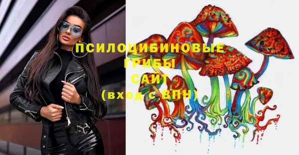 дживик Горнозаводск